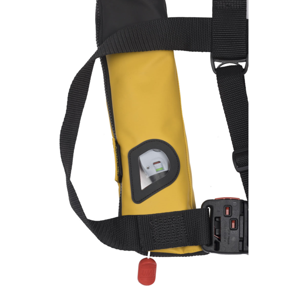 Cartridge viewing window