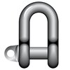 Large Dee Shackle